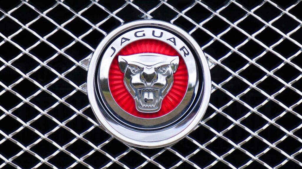 Jaguar car emblem representing the power of branding for realtors